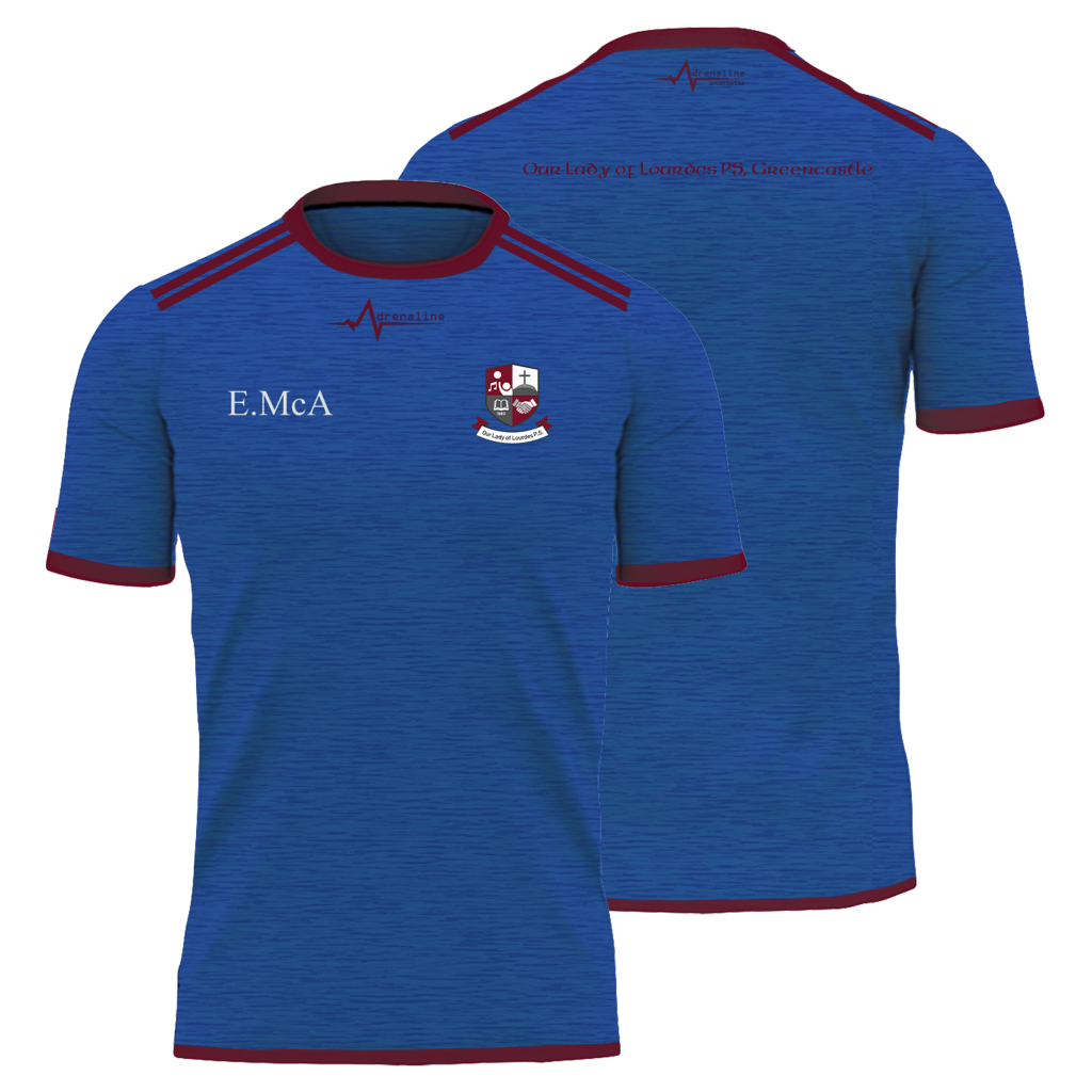 Our Lady of Lourdes P.S, Greencastle Tee