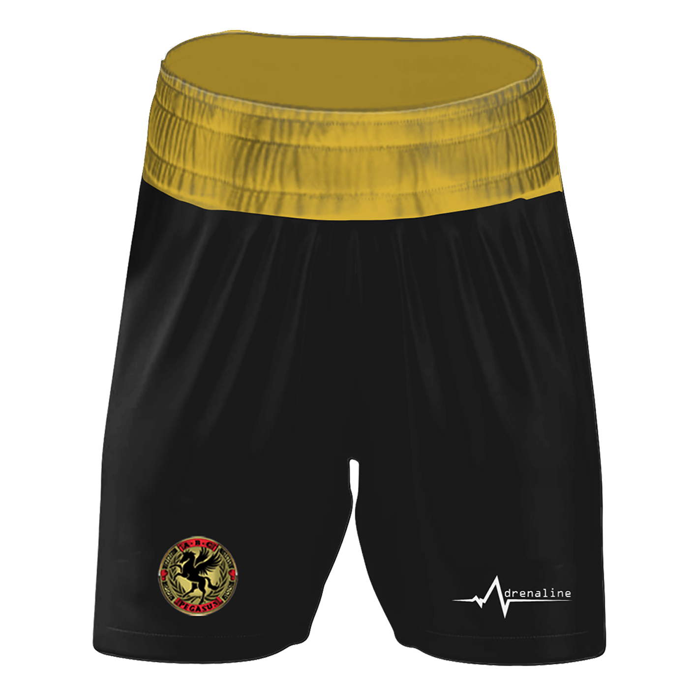 Pegasus ABC Fight Shorts - Image 2