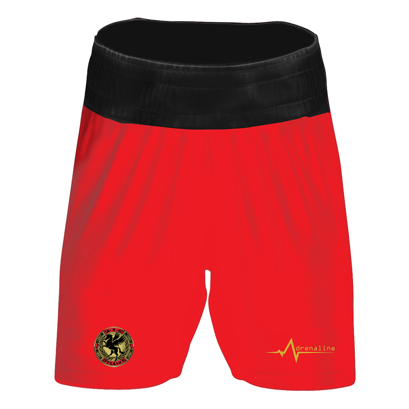 Pegasus ABC Fight Shorts - Image 3