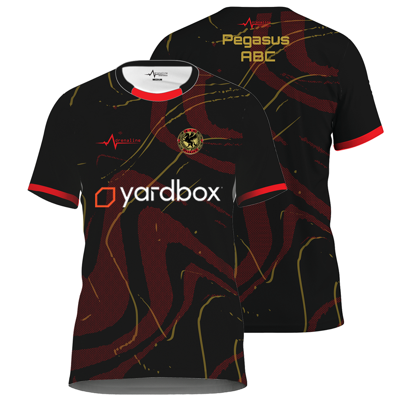 Pegasus ABC Jersey - Image 2