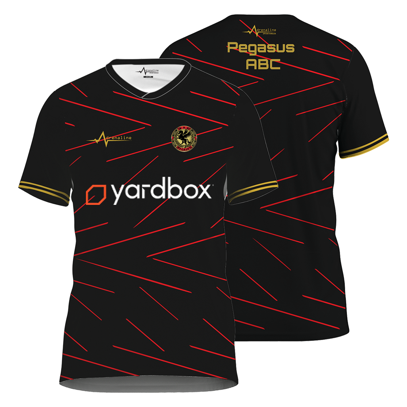 Pegasus ABC Jersey - Image 3