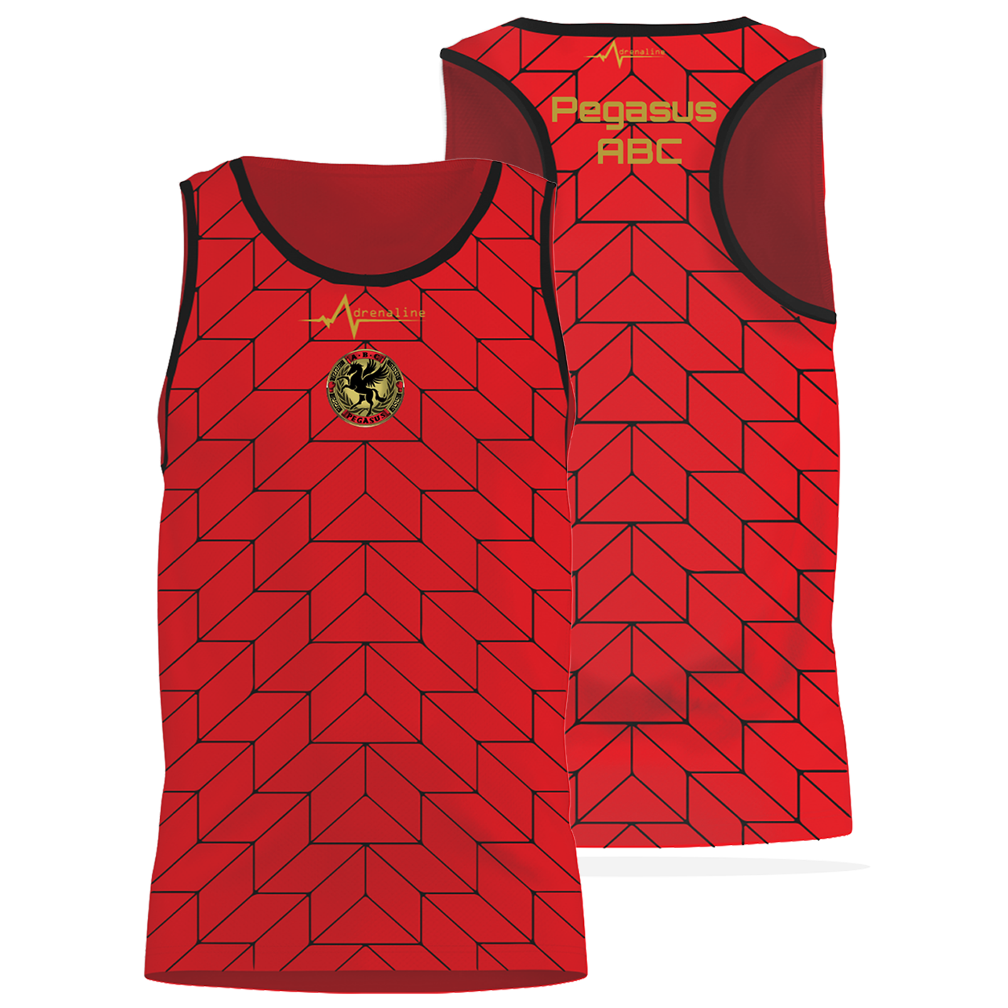 Pegasus ABC Fight Vest - Image 3